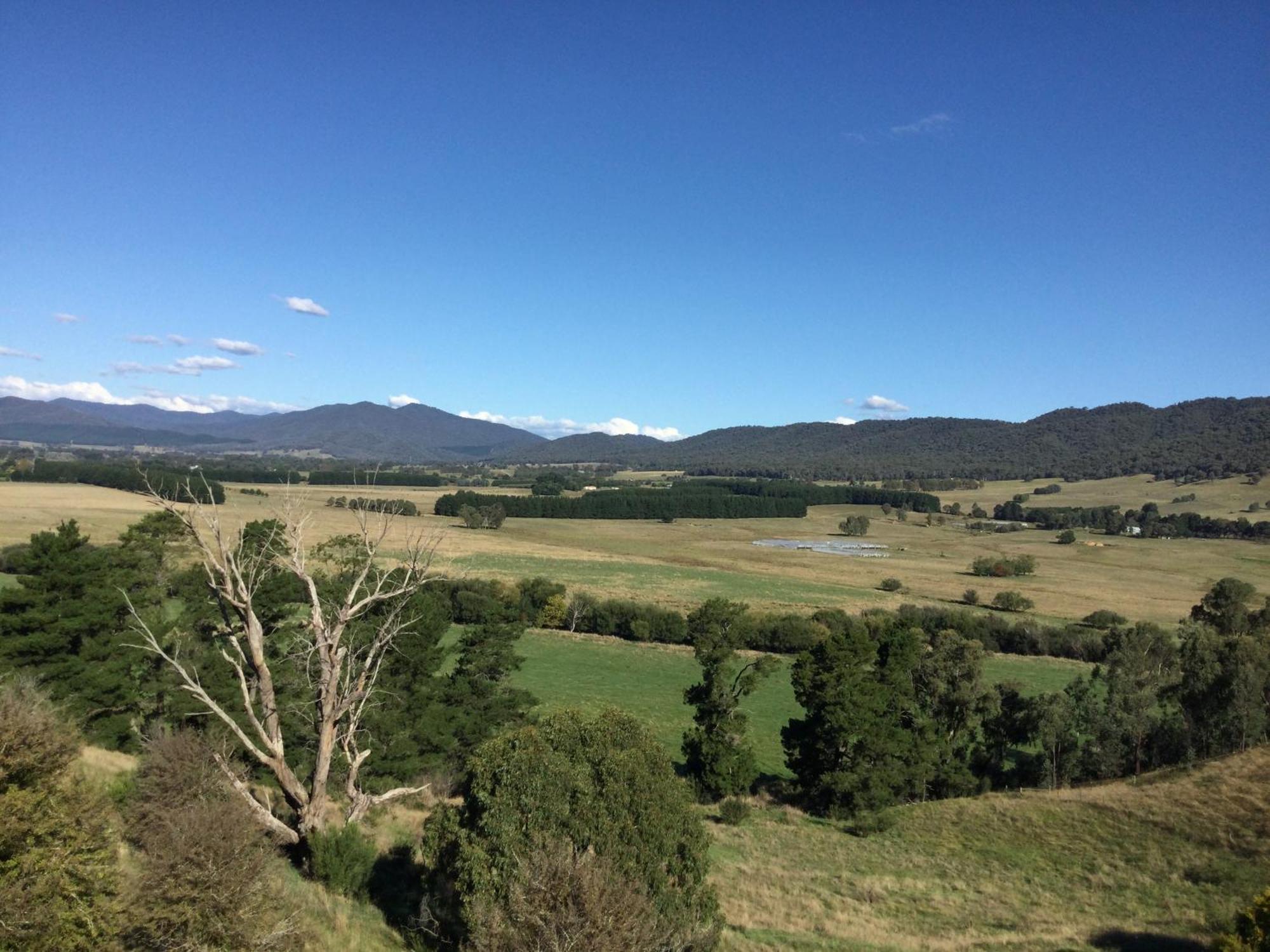 Bed and Breakfast Rosewhite House Myrtleford Exterior foto